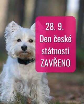 🐾 28. 9. slavíme Den české státnosti 🇨🇿 Naše prodejna bude mít zavřeno – užijte si volný den se svými čtyřnohými miláčky!...