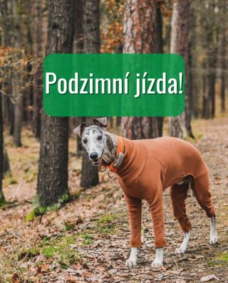 🍂 Podzim plný akcí je tady! 🍂 Začínáme už 1. října 🎉 Co přesně chystáme, vám zatím neprozradíme… ale věřte, že se máte na...