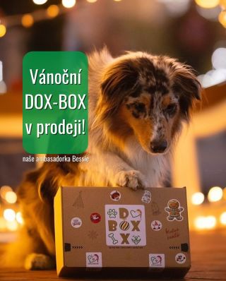 Vánoční DOX-BOX pro pejsky je konečně tady! 🎄🐶 Uvnitř najdete 8 pamlsků – 4 letošní nejoblíbenější a 4 úplné novinky...